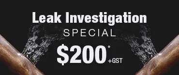 Leak Investigation Discount Kingsland